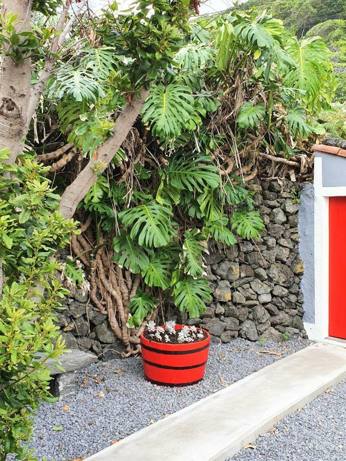 Calheta de Nesquim Casinha De Nesquimヴィラ エクステリア 写真